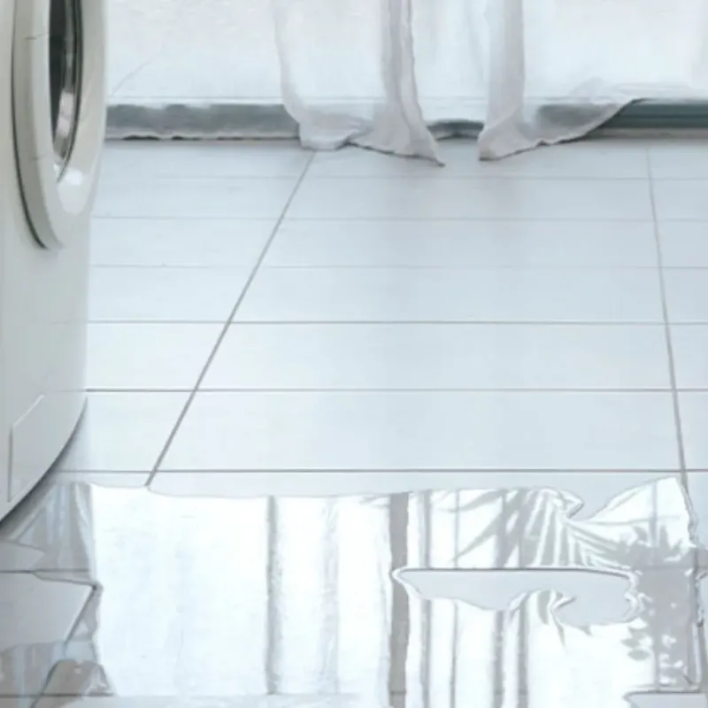 Appliance Leak Cleanup in Auburn, KY