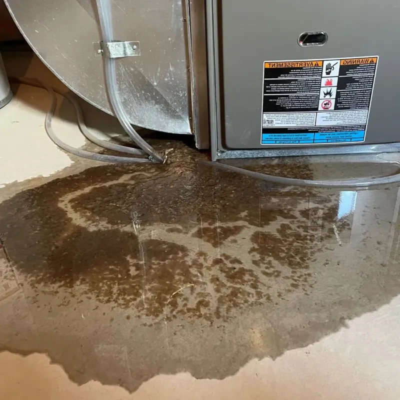 Pipe Burst and Leak Restoration in Auburn, KY