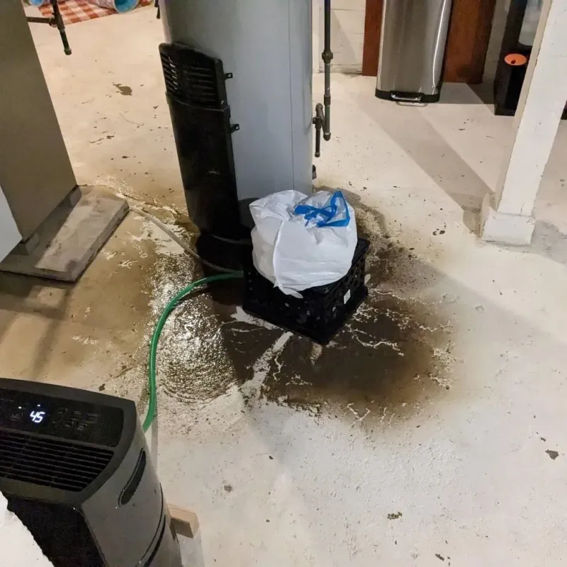 Sewage Backup Cleanup Service in Auburn, KY